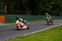 cadwell-no-limits-trackday;cadwell-park;cadwell-park-photographs;cadwell-trackday-photographs;enduro-digital-images;event-digital-images;eventdigitalimages;no-limits-trackdays;peter-wileman-photography;racing-digital-images;trackday-digital-images;trackday-photos